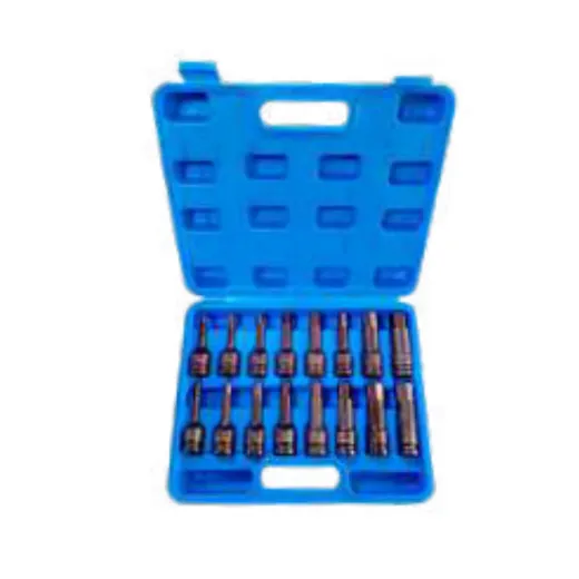 Set de puntas allen azul 1/2" x 16 piz h16