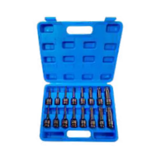 Set de puntas torx azul 1/2" x 16 piz 16