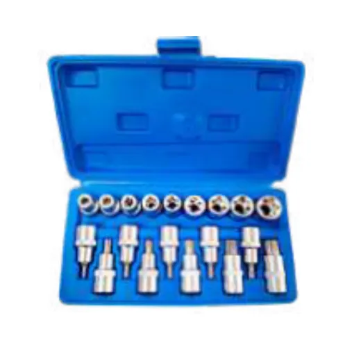 Set de puntas torx azul 1/2" x 19 piz